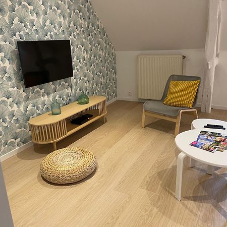 Willa Family Loft A 5Minutes Du Zooparc De Beauval Châteauvieux Zewnętrze zdjęcie