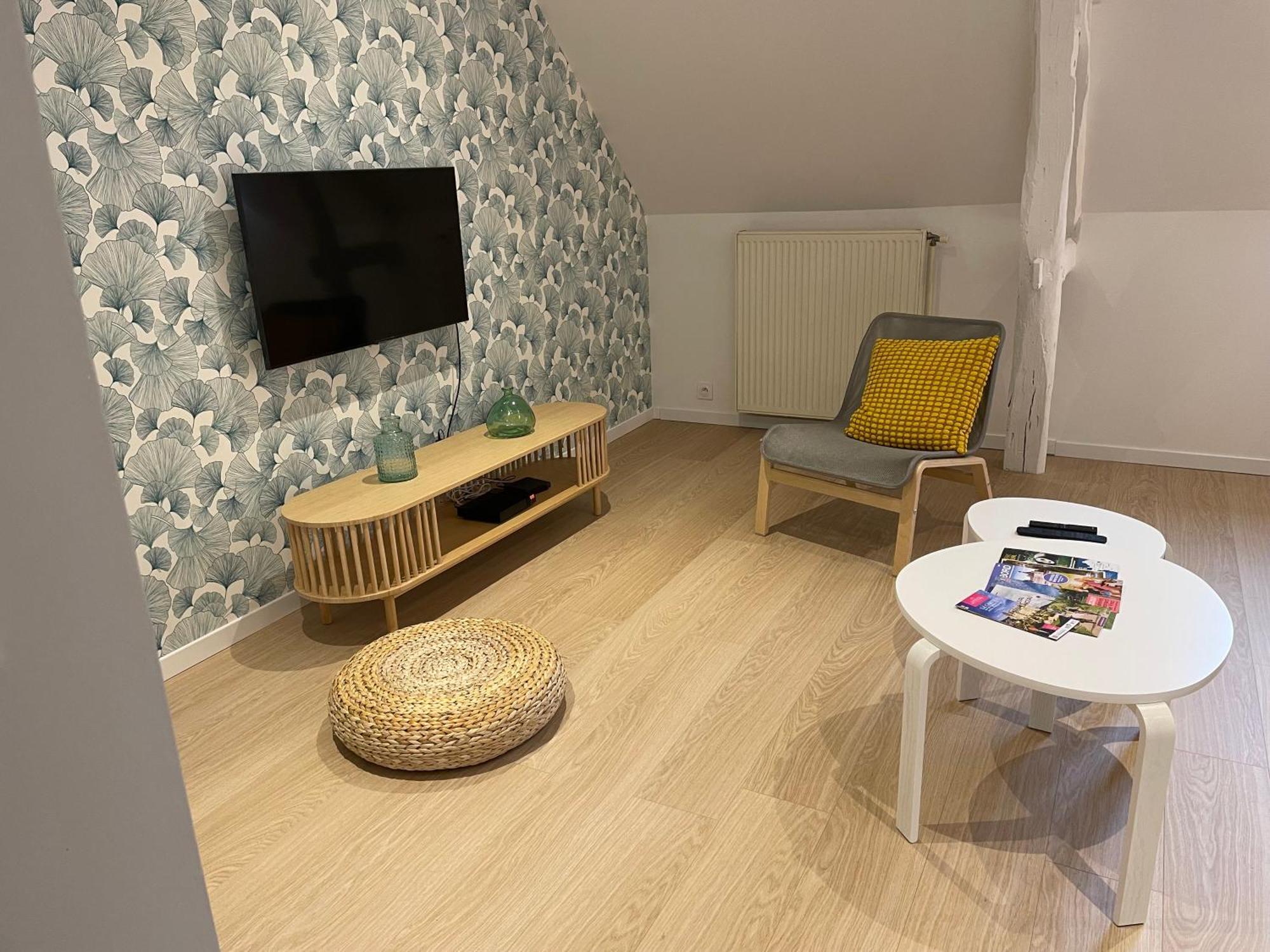 Willa Family Loft A 5Minutes Du Zooparc De Beauval Châteauvieux Zewnętrze zdjęcie